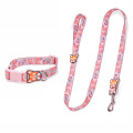 Fashion Nylon Pet Products Dog Collar Leash